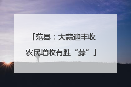 范县：大蒜迎丰收 农民增收有胜“蒜”
