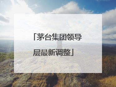 茅台集团领导层最新调整