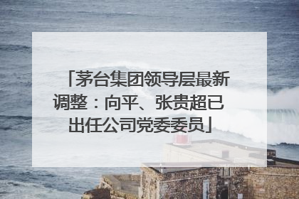 茅台集团领导层最新调整：向平、张贵超已出任公司党委委员