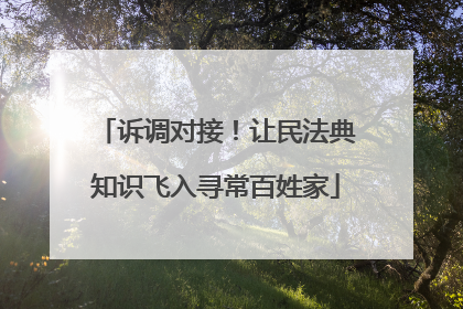诉调对接！让民法典知识飞入寻常百姓家
