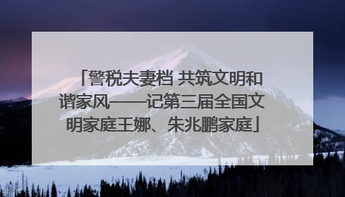 警税夫妻档 共筑文明和谐家风——记第三届全国文明家庭王娜、朱兆鹏家庭