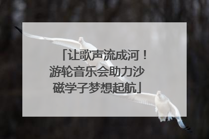 让歌声流成河！游轮音乐会助力沙磁学子梦想起航
