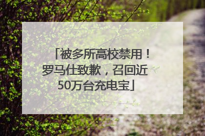 被多所高校禁用！罗马仕致歉，召回近50万台充电宝