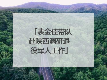 裴金佳带队赴陕西调研退役军人工作