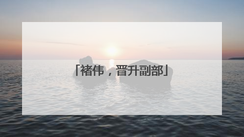 褚伟，晋升副部