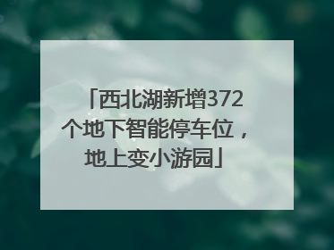 西北湖新增372个地下智能停车位，地上变小游园