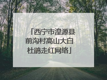 西宁市湟源县前沟村高山大白杜鹃走红网络