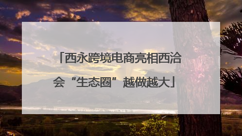 西永跨境电商亮相西洽会“生态圈”越做越大