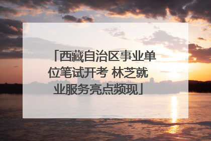 西藏自治区事业单位笔试开考 林芝就业服务亮点频现