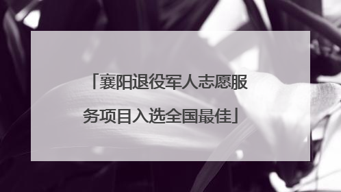 襄阳退役军人志愿服务项目入选全国最佳