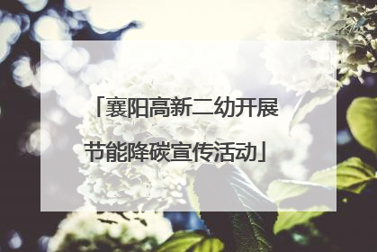 襄阳高新二幼开展节能降碳宣传活动