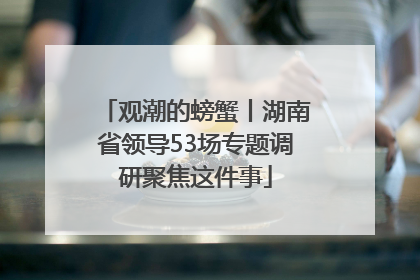 观潮的螃蟹丨湖南省领导53场专题调研聚焦这件事