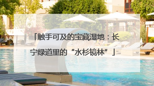 触手可及的宝藏湿地：长宁绿道里的“水杉镜林”