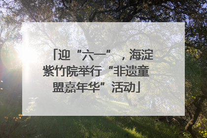 迎“六一”，海淀紫竹院举行“非遗童盟嘉年华”活动