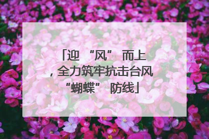 迎 “风” 而上，全力筑牢抗击台风 “蝴蝶” 防线