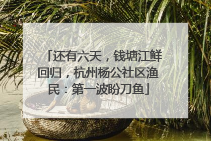 还有六天，钱塘江鲜回归，杭州杨公社区渔民：第一波盼刀鱼