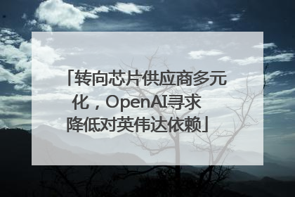 转向芯片供应商多元化，OpenAI寻求降低对英伟达依赖