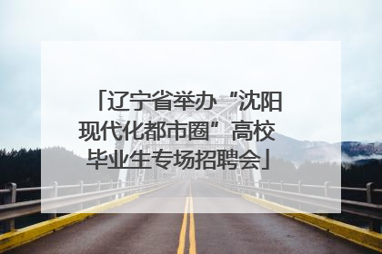 辽宁省举办“沈阳现代化都市圈”高校毕业生专场招聘会