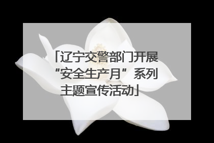 辽宁交警部门开展“安全生产月”系列主题宣传活动
