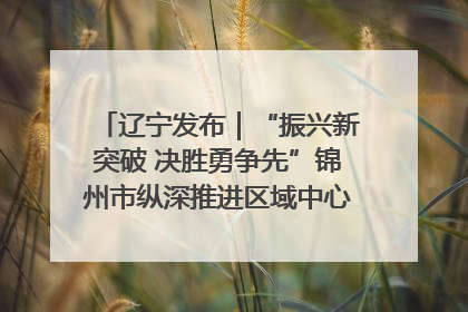 辽宁发布｜“振兴新突破 决胜勇争先”锦州市纵深推进区域中心城市建设 打造高质量发展新增长极