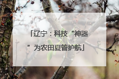 辽宁：科技“神器”为农田夏管护航