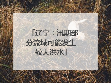辽宁：汛期部分流域可能发生较大洪水