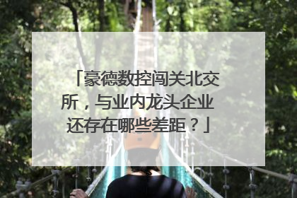 豪德数控闯关北交所，与业内龙头企业还存在哪些差距？