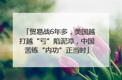 贸易战6年多，美国越打越“亏”陷泥潭，中国苦练“内功”正当时