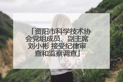 资阳市科学技术协会党组成员、副主席刘小彬 接受纪律审查和监察调查