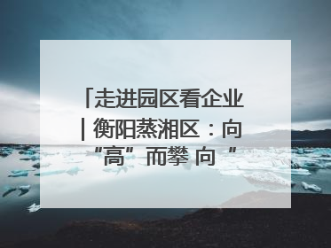 走进园区看企业｜衡阳蒸湘区：向“高”而攀 向“新”而行