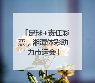 足球+责任彩票，湘潭体彩助力市运会