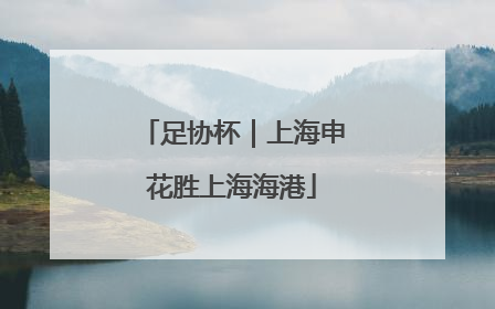 足协杯｜上海申花胜上海海港