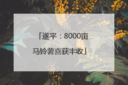 遂平：8000亩马铃薯喜获丰收