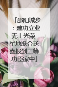 邵阳城步：建功立业无上光荣 军地联合送喜报到二等功臣家中