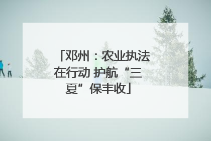 邓州：农业执法在行动 护航“三夏”保丰收