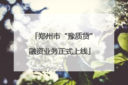 郑州市“豫质贷”融资业务正式上线