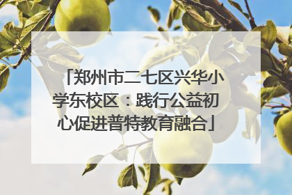 郑州市二七区兴华小学东校区：践行公益初心促进普特教育融合