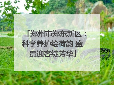郑州市郑东新区：科学养护绘荷韵 盛景迎客绽芳华