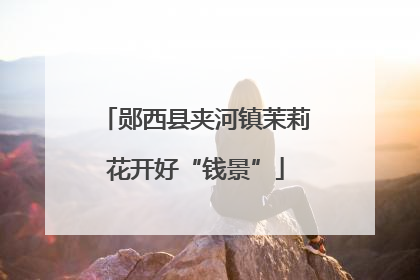 郧西县夹河镇茉莉花开好“钱景”