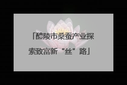 醴陵市桑蚕产业探索致富新“丝”路