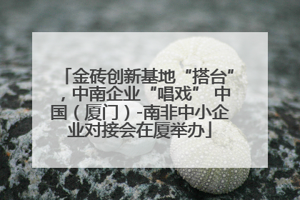 金砖创新基地“搭台”，中南企业“唱戏” 中国（厦门）-南非中小企业对接会在厦举办