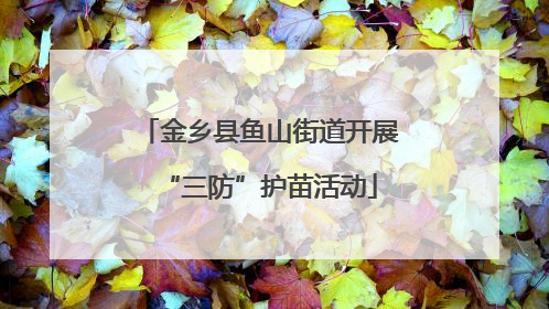 金乡县鱼山街道开展“三防”护苗活动