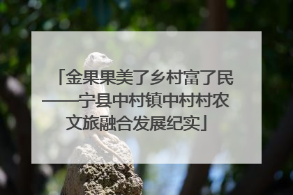 金果果美了乡村富了民——宁县中村镇中村村农文旅融合发展纪实