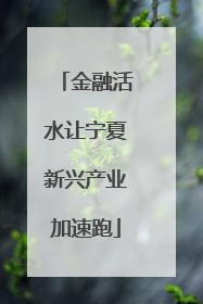 金融活水让宁夏新兴产业加速跑