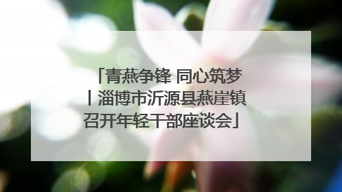 青燕争锋 同心筑梦丨淄博市沂源县燕崖镇召开年轻干部座谈会
