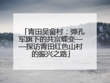青田吴畲村：弹孔军旗下的共富蝶变——探访青田红色山村的振兴之路