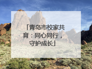 青岛市校家共育：同心同行，守护成长
