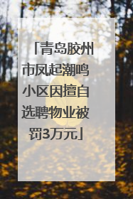 青岛胶州市凤起潮鸣小区因擅自选聘物业被罚3万元