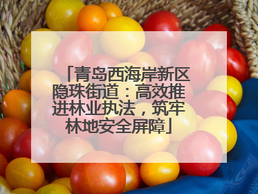 青岛西海岸新区隐珠街道：高效推进林业执法，筑牢林地安全屏障