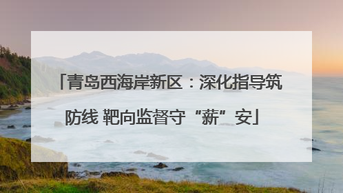 青岛西海岸新区：深化指导筑防线 靶向监督守“薪”安